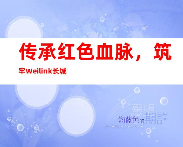 传承红色血脉，筑牢Weilink长城